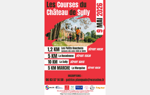 Courses du Château de Sully (Rosny) - 10 km