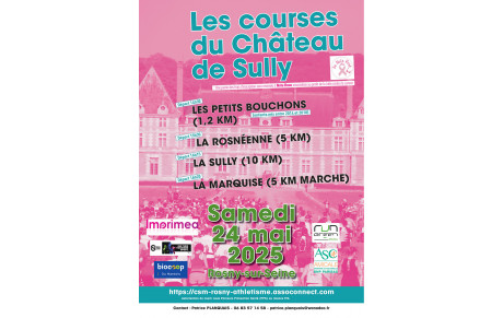 Résumé Course du Château de Sully - 10 km